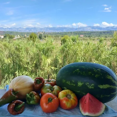 Casa vacanze Mobilhome Maja *