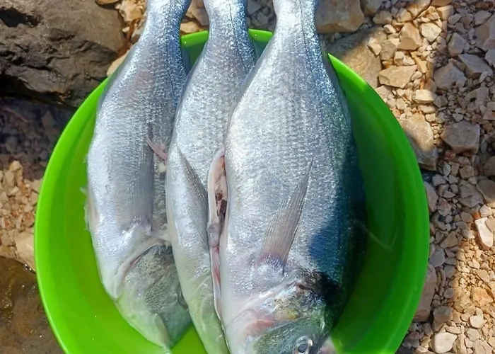 Mobilhome Maja Pirovac