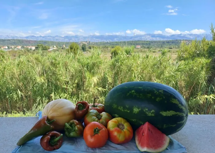 Casa vacanze Mobilhome Maja *